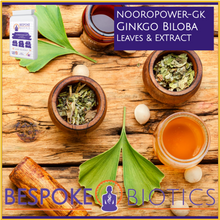 Carregar imagem no visualizador da galeria, Ginkgo Biloba from Japan plus B+ Supplements B1, B3, B5, B6, B7, B12 Nooropower GK 90 Caps High Strength Vegan + Vitamin B