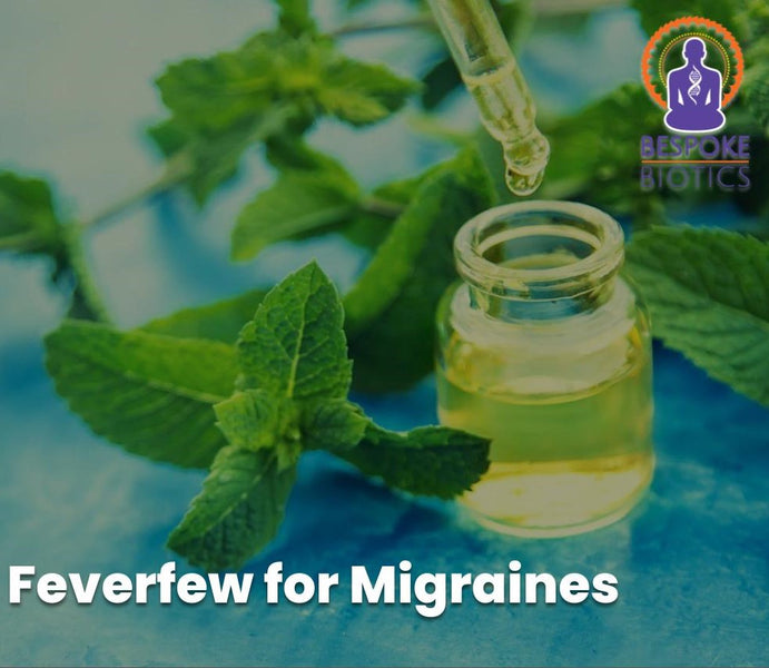 Say goodbye to migraines: how feverfew can help prevent and treat chronic headaches