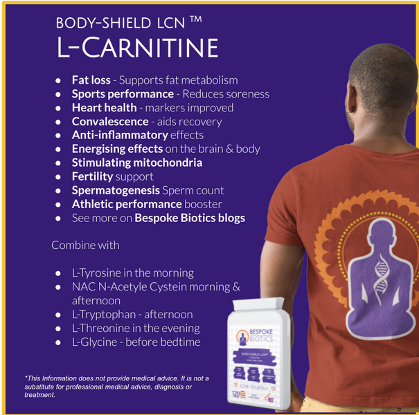What can I l-carnitine do for you? Introducing BB Body-Shield LCN