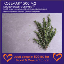 Carica l&#39;immagine nel visualizzatore di Gallery, A picture of natural rosemary on a natural slate backdrop A photo of a triple pack of supplements including L-Tyrosine, Rosemary, and L-Phenylalanine, exclusively made in the UK by Bespoke Biotics, which can help boost cognitive function, mood, and energy levels.