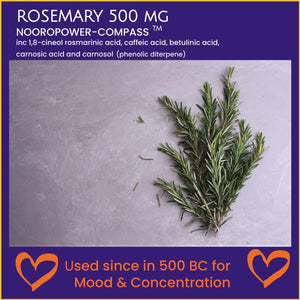 A picture of natural rosemary on a natural slate backdrop A photo of a triple pack of supplements including L-Tyrosine, Rosemary, and L-Phenylalanine, exclusively made in the UK by Bespoke Biotics, which can help boost cognitive function, mood, and energy levels.
