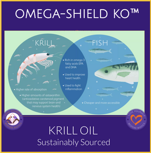 Superba Oil Extract 500 mg 60 Caps Antarctic Krill + Astaxanthin UK Made