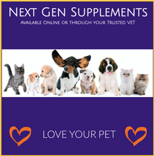Load image into Gallery viewer, MyPet Osteo-Shield Joint Support For Pets Glucosamine 250mg Dogs &amp; Cats 120 Tabs
