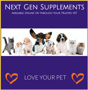 MyPet Osteo-Shield Joint Support For Pets Glucosamine 250mg Dogs & Cats 120 Tabs