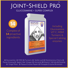 Load image into Gallery viewer, JOINT-SHIELD PRO Glucosamine 300mg Complex with MSM, Sour Cherry, Rosehip &amp; Turmeric 120 Caps