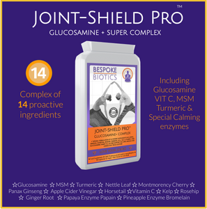 JOINT-SHIELD PRO Glucosamine 300mg Complex with MSM, Sour Cherry, Rosehip & Turmeric 120 Caps