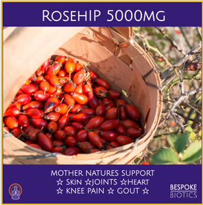 Rosehip Health Extract 5000mg 120 Tablets - High Strength Rosacanina Profemina